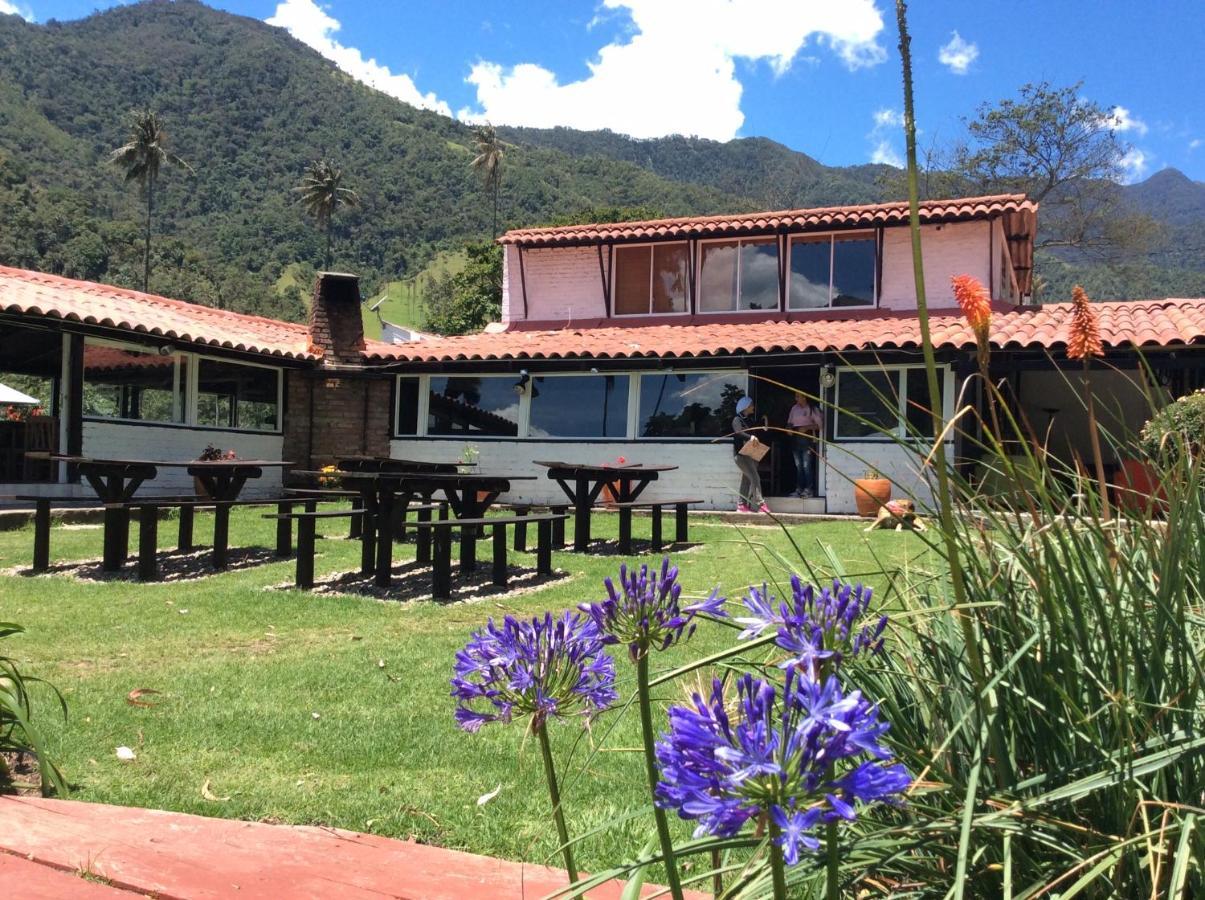 Palmas De Cocora Guest House ซาเลนโต ภายนอก รูปภาพ