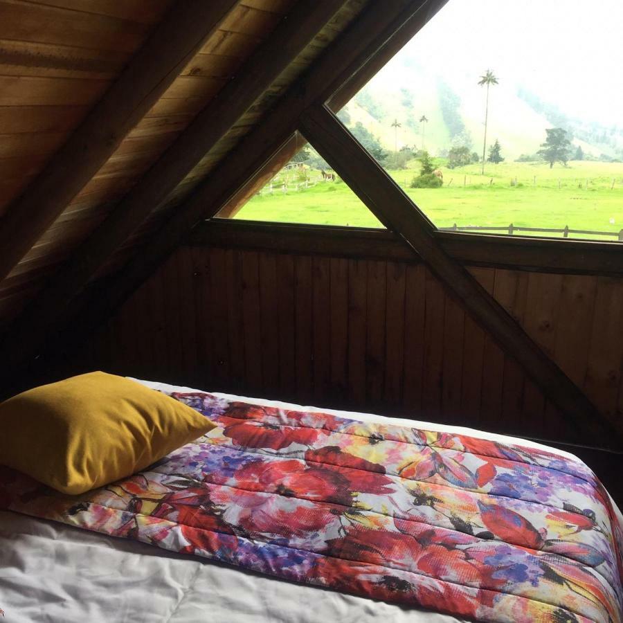 Palmas De Cocora Guest House ซาเลนโต ภายนอก รูปภาพ