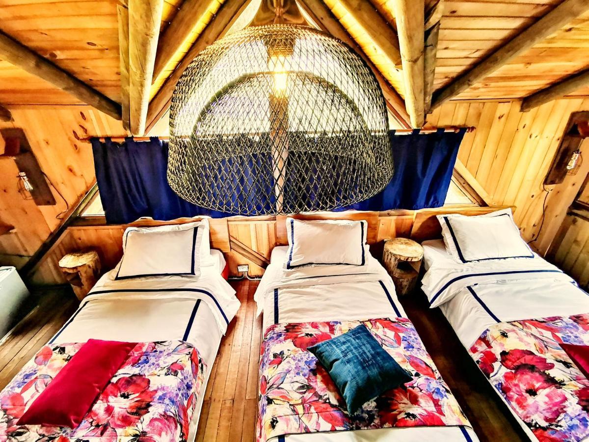 Palmas De Cocora Guest House ซาเลนโต ภายนอก รูปภาพ
