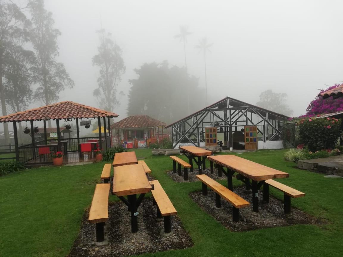 Palmas De Cocora Guest House ซาเลนโต ภายนอก รูปภาพ